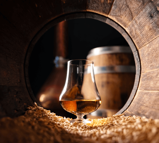 Pana-swiss - About Us - Crafting Exceptional Rum with Heart and Heritage